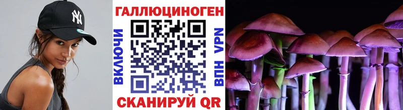 наркота  Ковылкино  kraken как войти  Псилоцибиновые грибы ЛСД 
